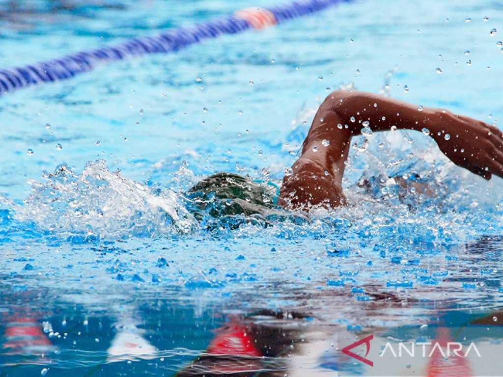 Search image article