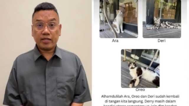 Kucing Uya Kuya Trauma Penjarahan, Kini Pulih di Puskesmas Hewan Ragunan