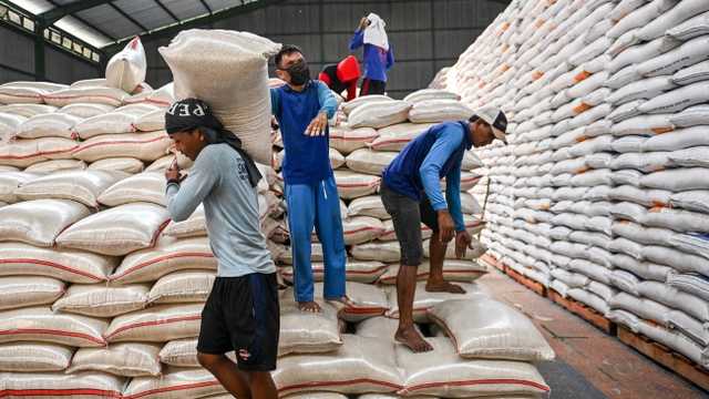 Search image article