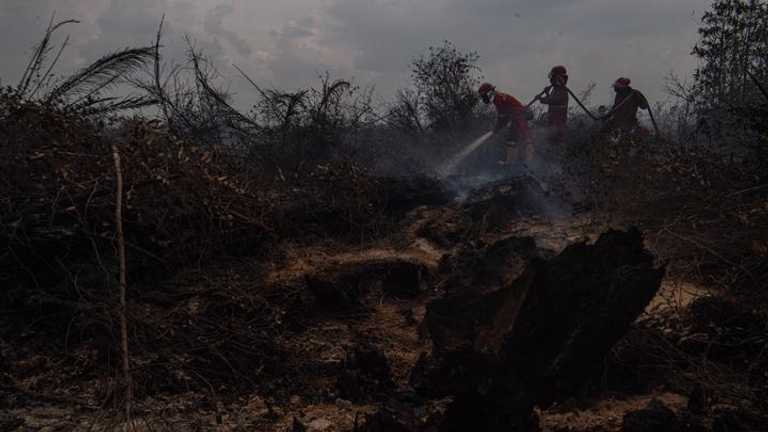 Search image article