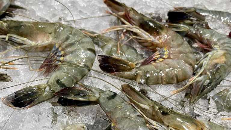 Search image article