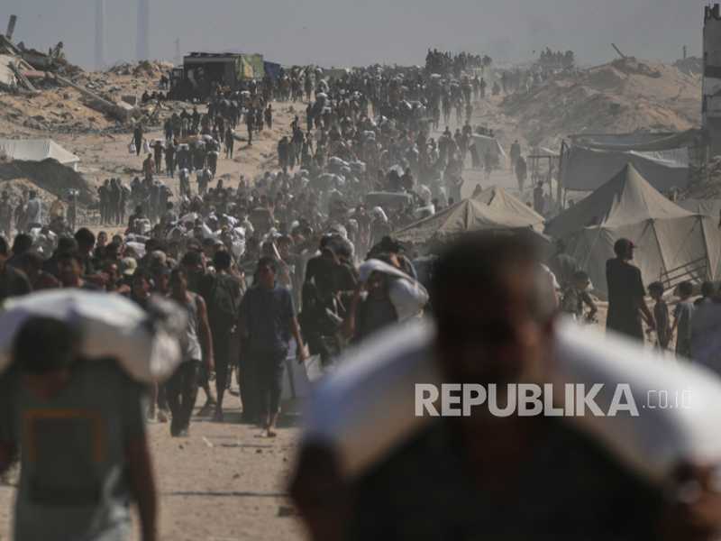 Search image article