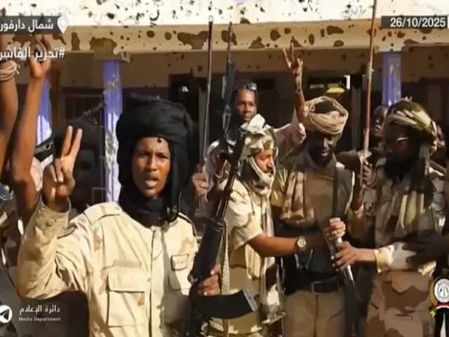 Search image article