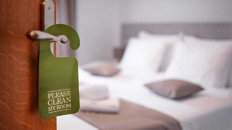 Search image article