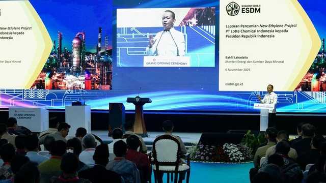 Search image article