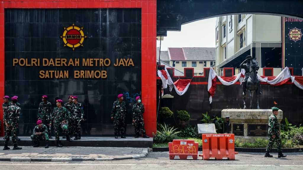 Search image article