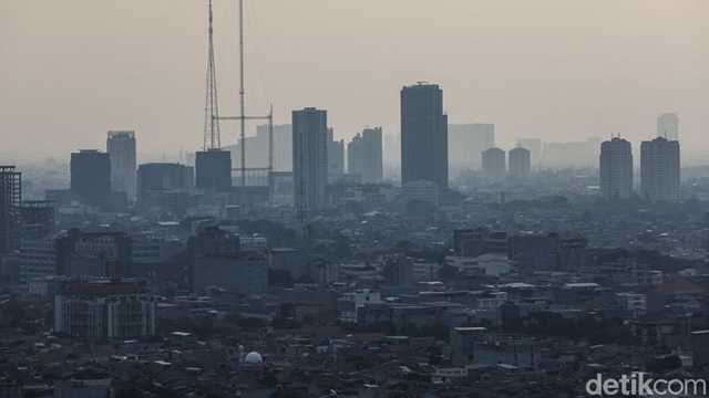 Search image article