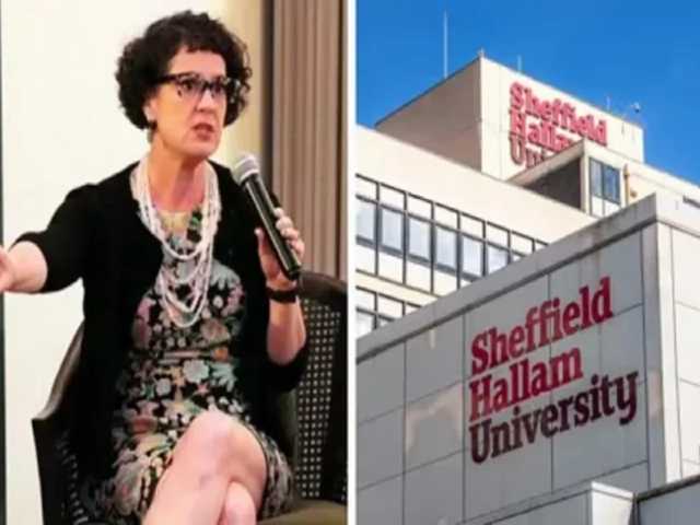 Search image article