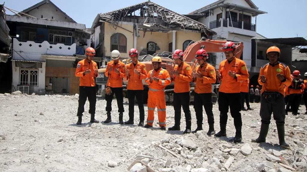 Search image article