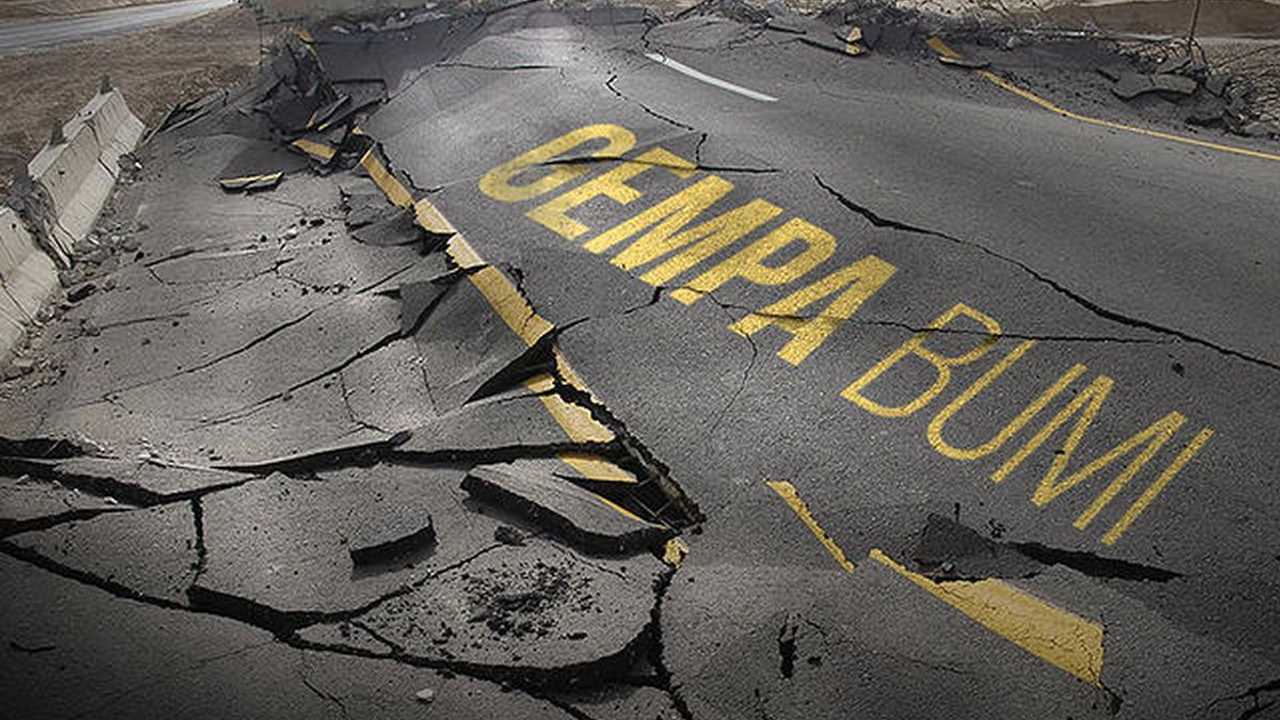 Search image article