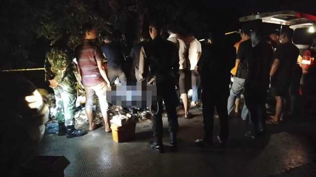 Search image article