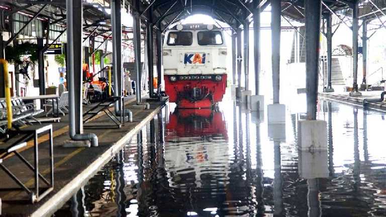 Search image article