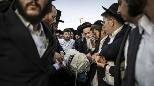 Search image article