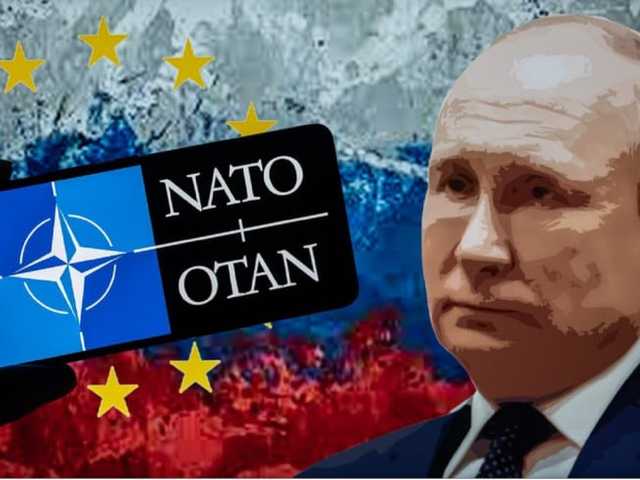 Search image article