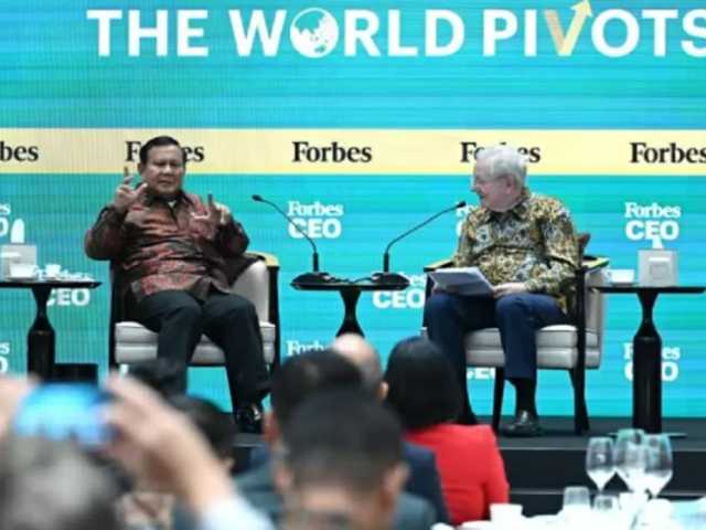 Search image article