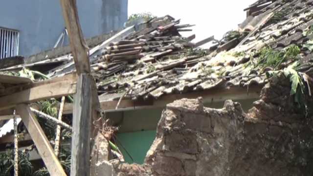 Search image article