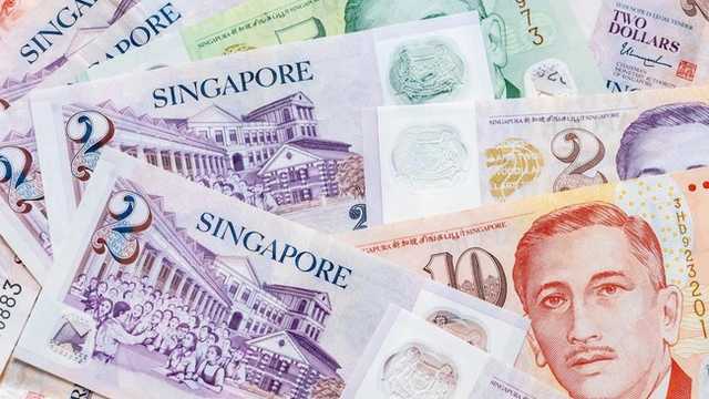 Search image article