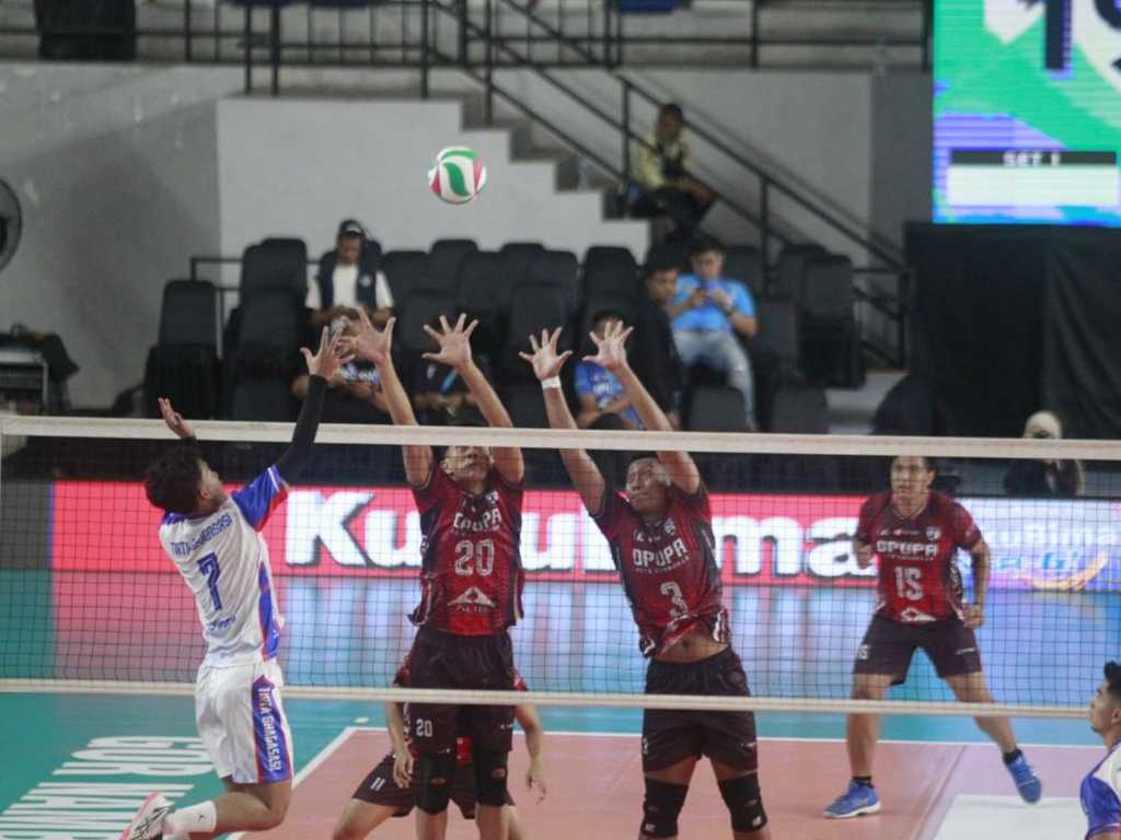 Search image article