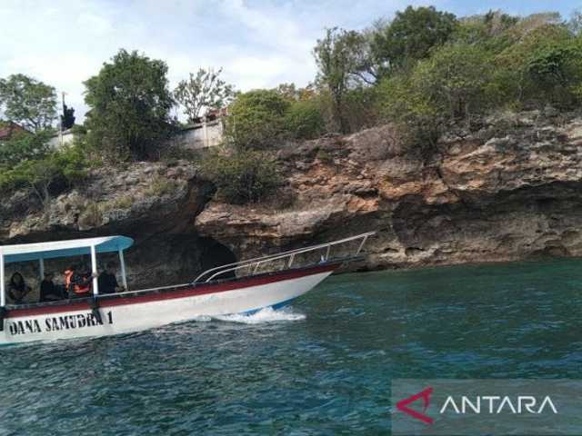 Search image article