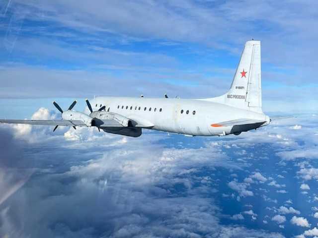 Search image article