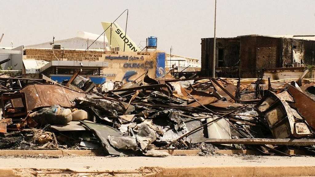 Search image article