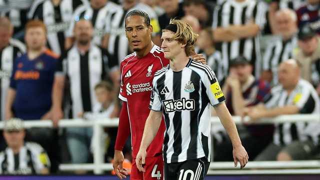 Search image article