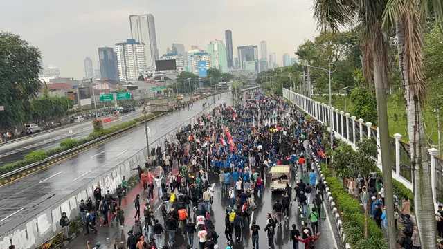 Search image article