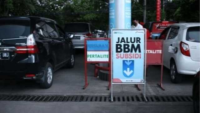 Search image article