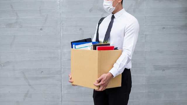 Search image article