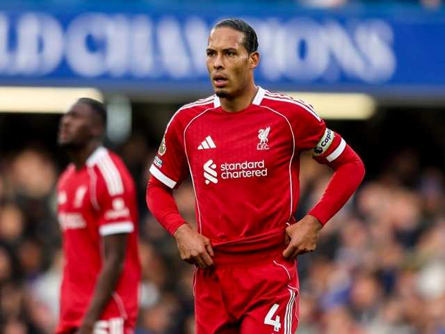 Search image article