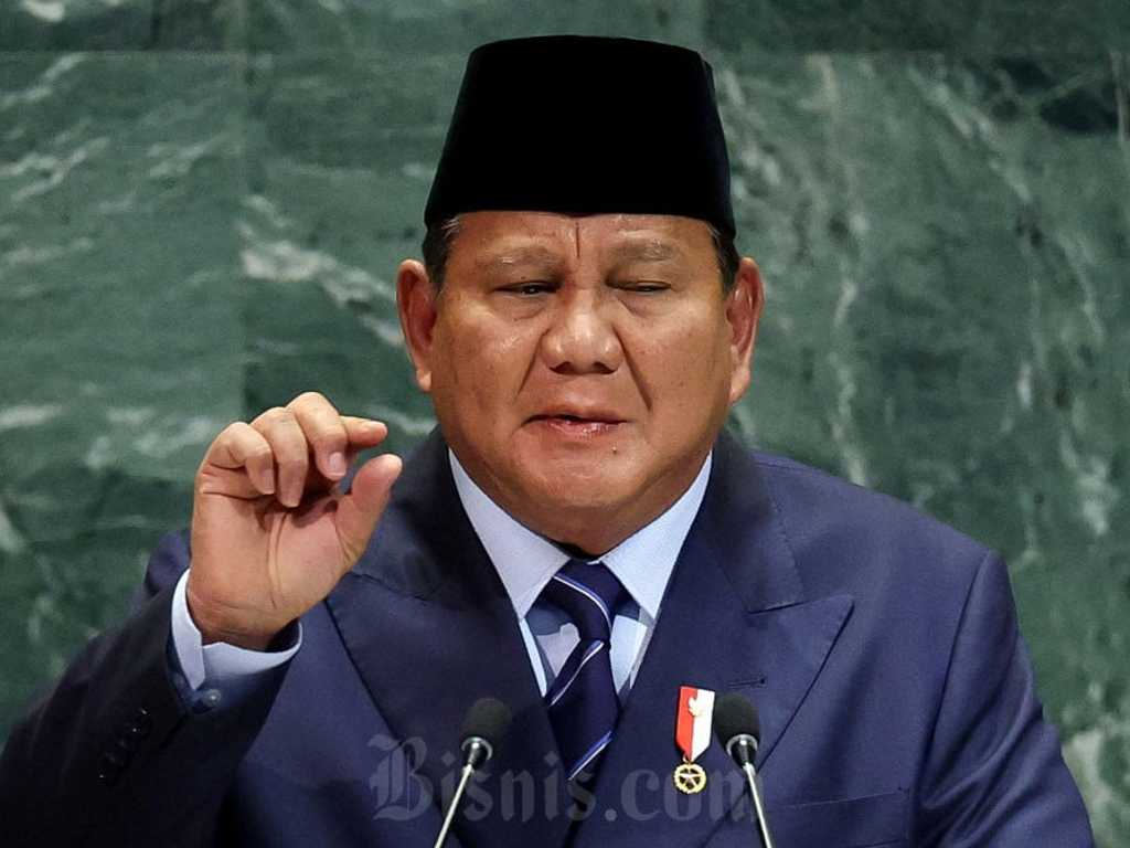 Search image article