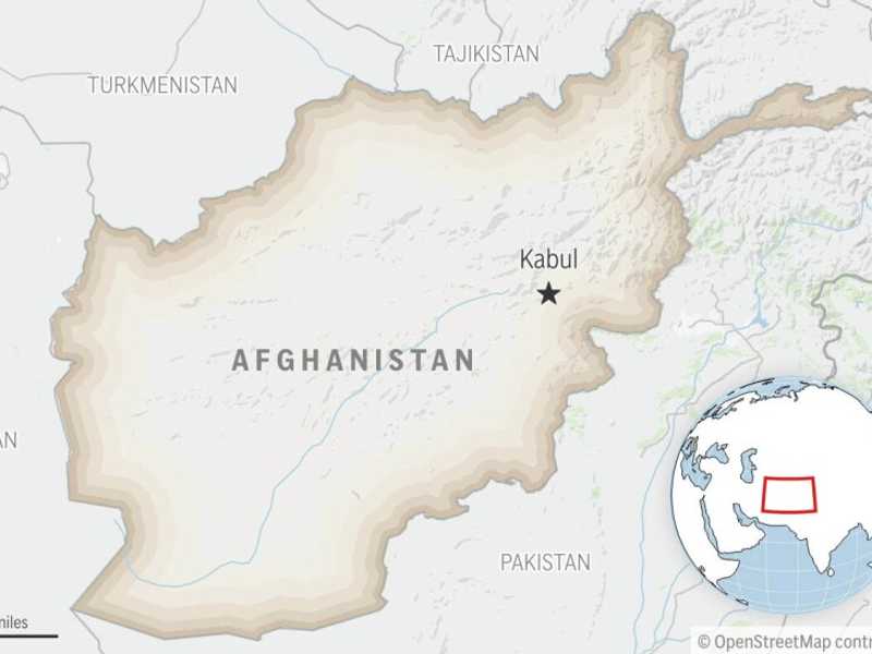 Search image article