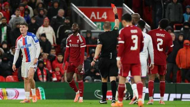 Search image article