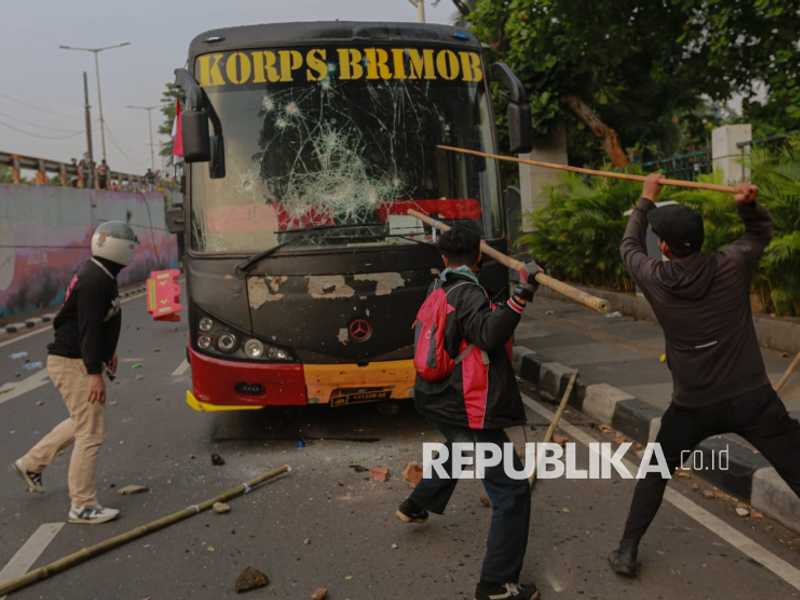 Search image article