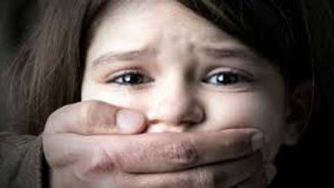 Search image article