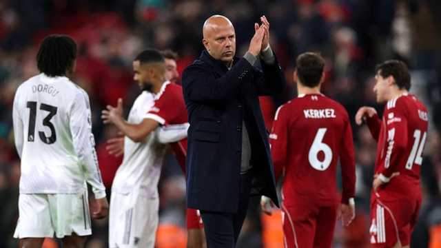 Search image article