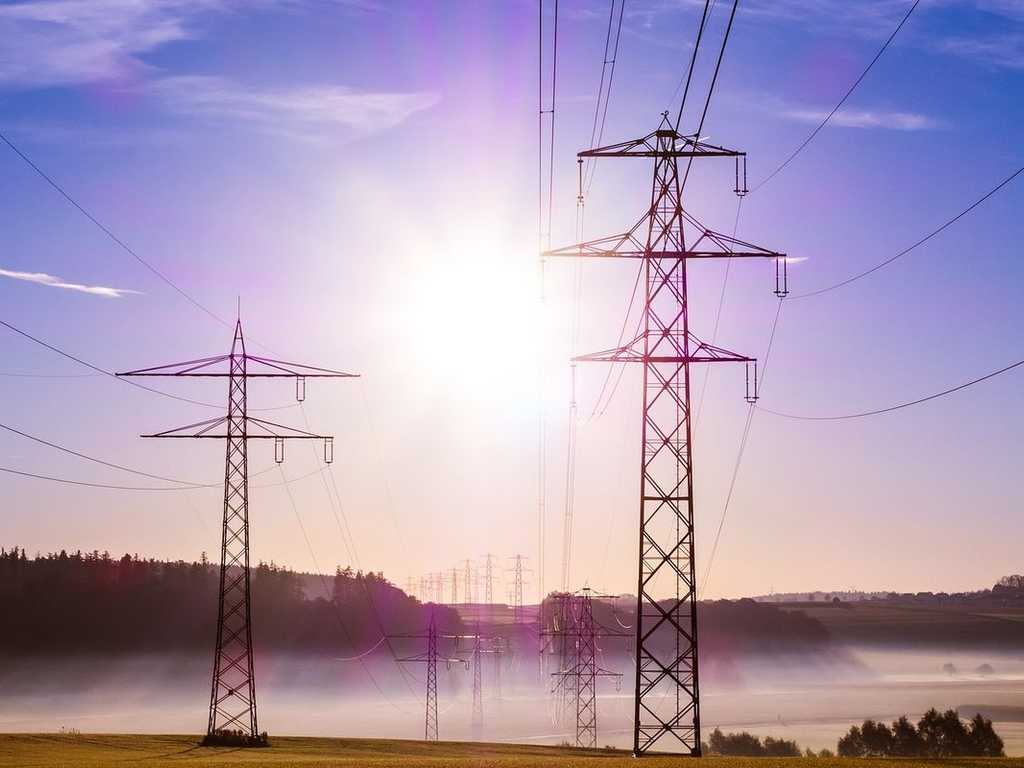 Search image article