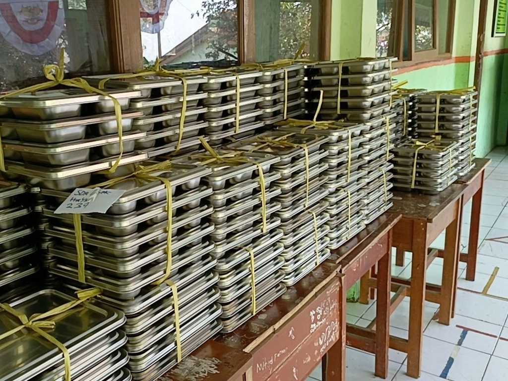 Search image article