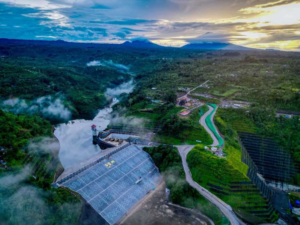 Search image article