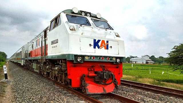 Search image article