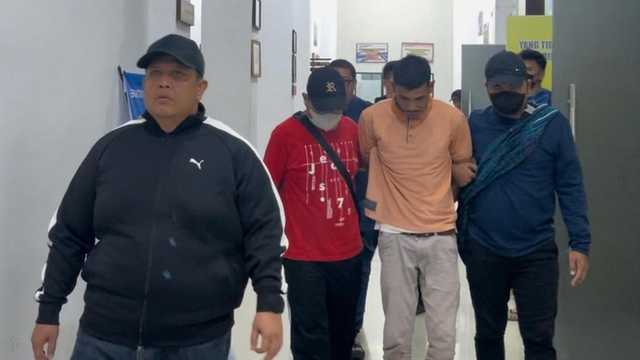 Search image article