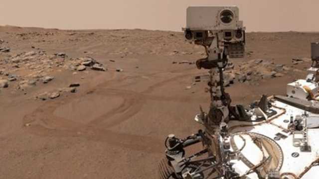 NASA Geger! Rover Perseverance Bongkar Bukti Potensi Kehidupan Purba di Mars