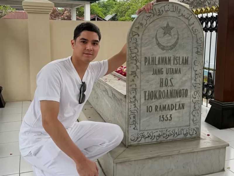 Search image article