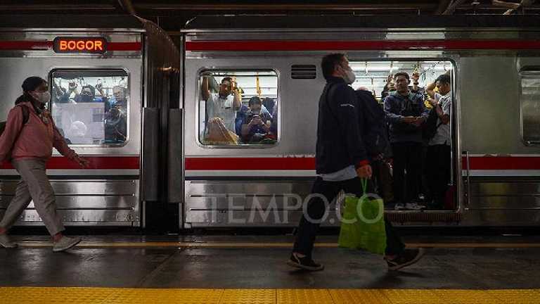 Search image article