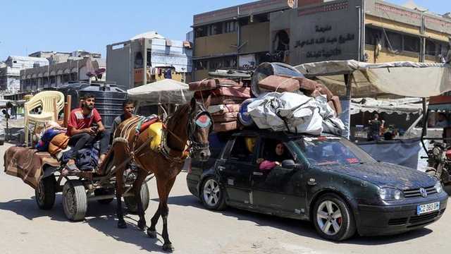 Search image article