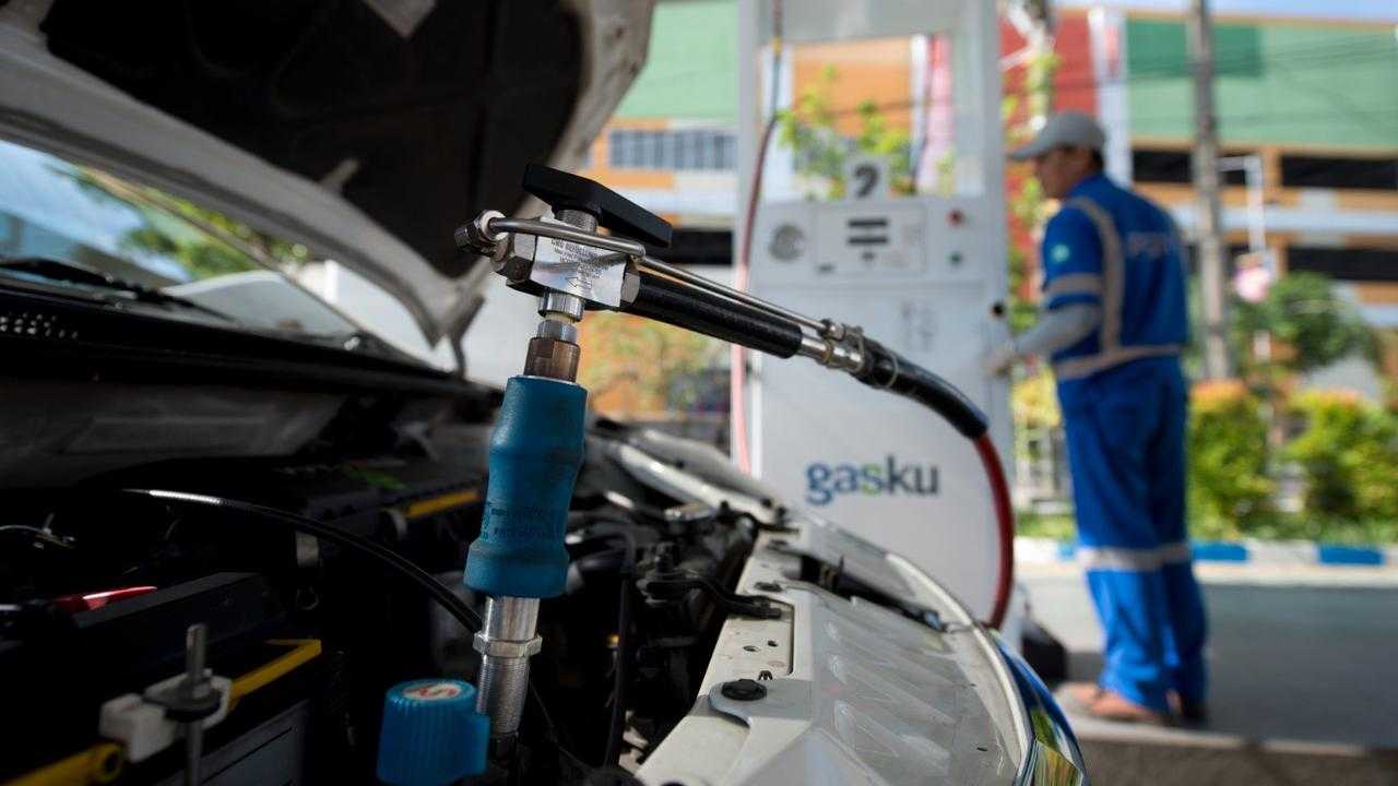 Search image article