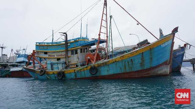 Laut Natuna Utara "Seksi", Jadi Incaran KIA Vietnam Curi Ikan Mahal