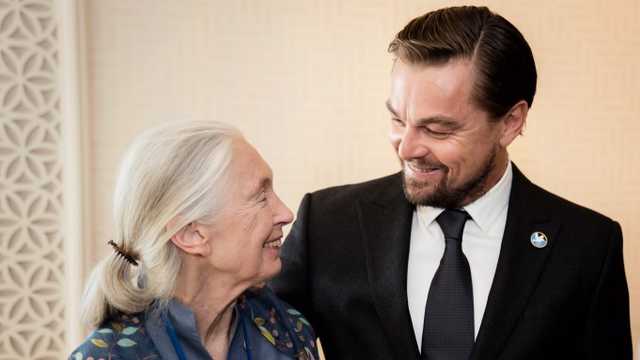 Leonardo DiCaprio Kenang Jane Goodall sebagai 'Pahlawan Sejati Planet'