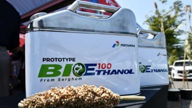 Search image article