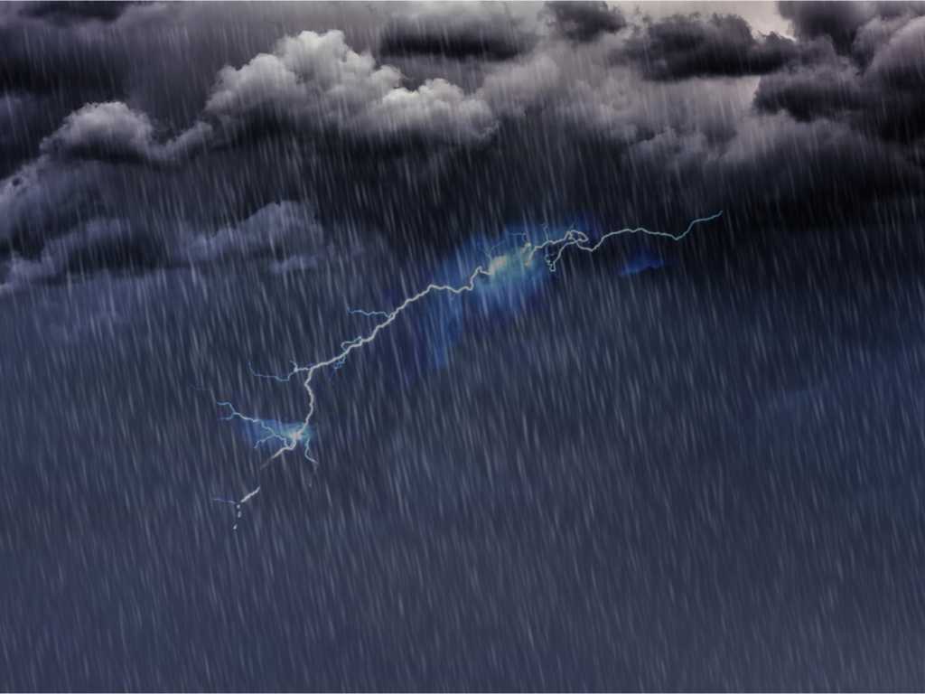 Search image article